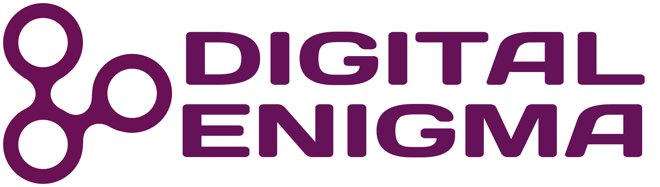 Digital Enigma